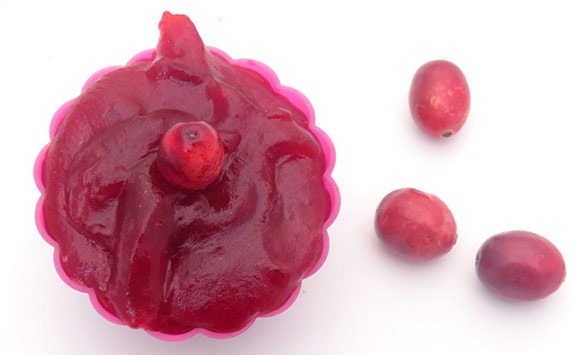 Cranberry jelly and raw cranberries