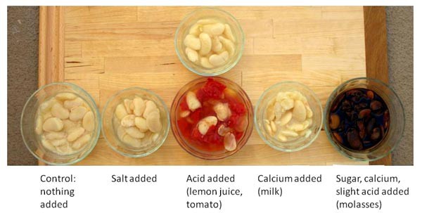 Six bowls of beans cooked with different additives, no additives, salt, lemon juice, tomato juice, milk, and molasses