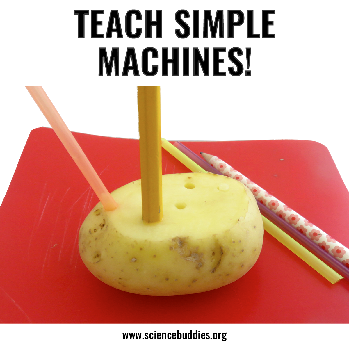 A potato holes experiment - part of Simple Machines Collection at Science Buddies