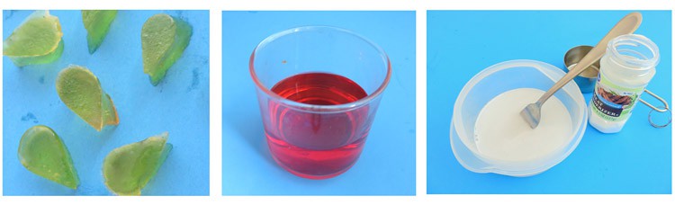 Small pieces of jello, red colored water and proteases solution are used in the pill experiment
