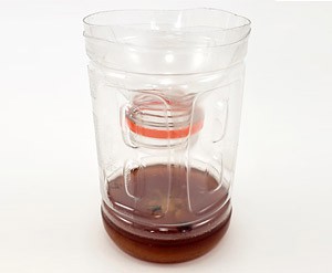 https://www.sciencebuddies.org/ycIN_sejbpfHBjo1_IXnGZyACcE=/300x247/-/https/www.sciencebuddies.org/cdn/Files/13304/9/homemade-fly-trap-2-thumbnail.jpg