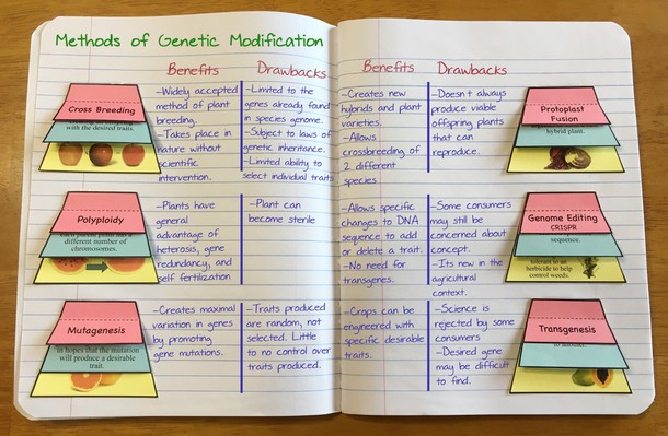 genetic modification page final