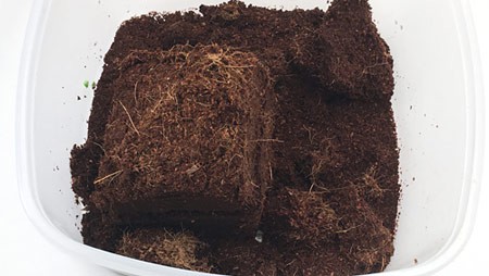 Coconut coir breaking apart in a plastic container