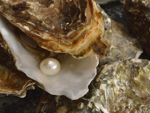 oyster with pearl