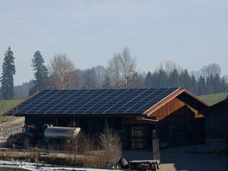 Dairy farm with solar panels