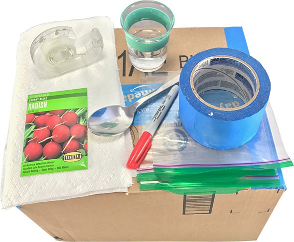 Packet of radish seeds, tape, water, a marker, a spoon, zip-top bags and a cardboard box