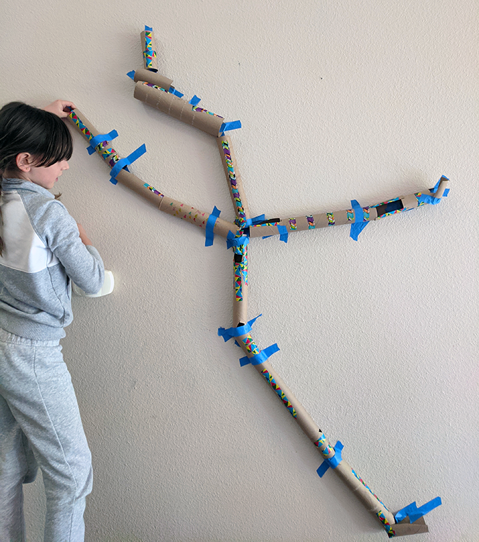 Student standing next to large marble run made from cardboard tubes and taped to a wall