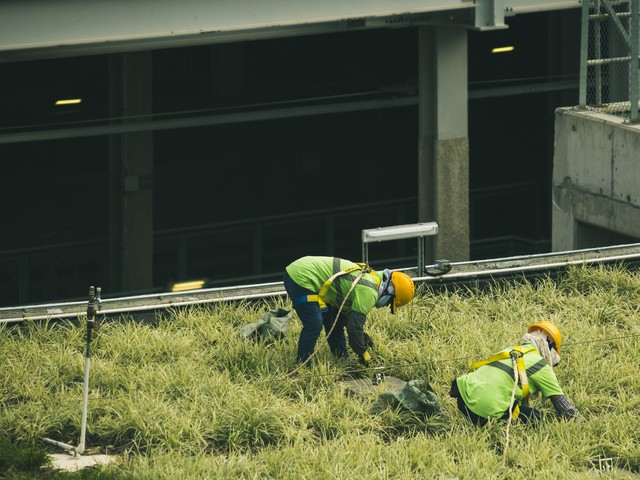 Installer on green roof