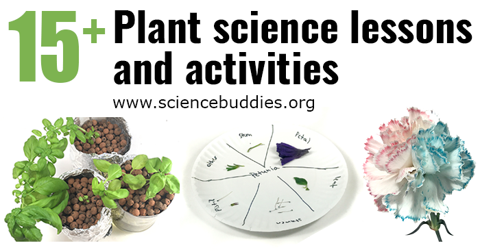 Edible soil provides a tasty lesson in Earth science