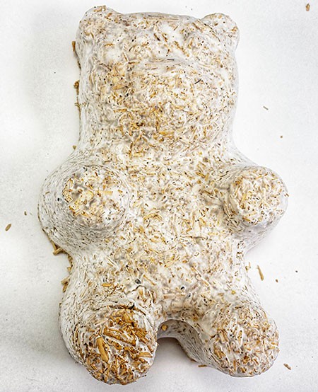 A bear made from mushroom material.