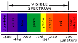 Spectrum of visible light and their wavelengths in nanometers