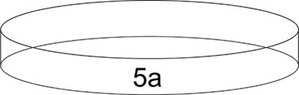 A drawn petri dish is labelled 5a