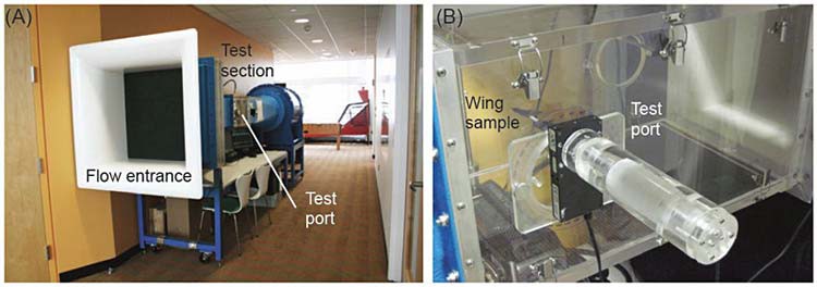 Two photos of the flow entrance and test port of a large wind tunnel